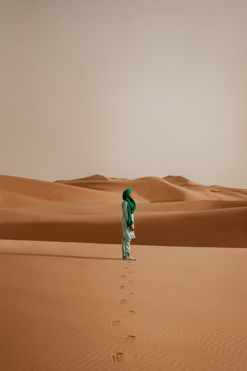 a person standing in the middle of a desert